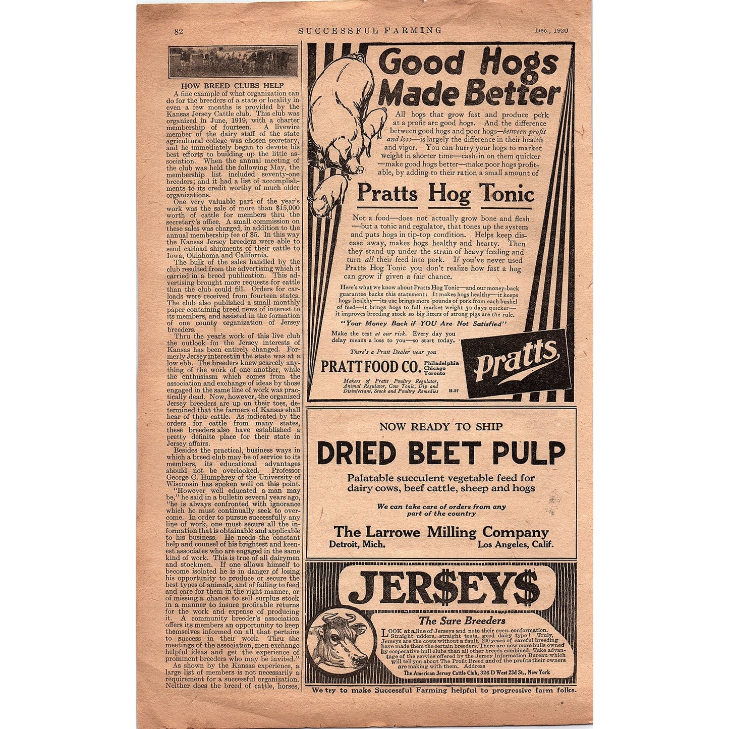 Beaver Board Pure Wood Fibre for Walls & Ceilings NY 1920 Ad V1-3