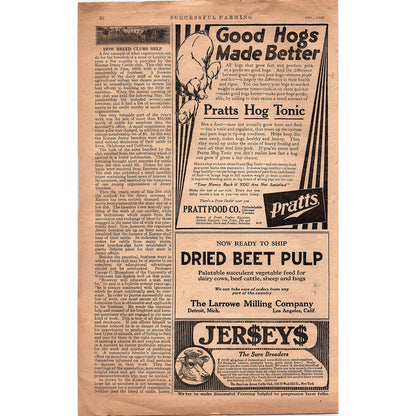 Beaver Board Pure Wood Fibre for Walls & Ceilings NY 1920 Ad V1-3
