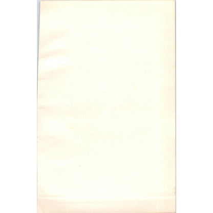 Coot Bird 1903 Original Color Engraving Plate Print AD8-B6