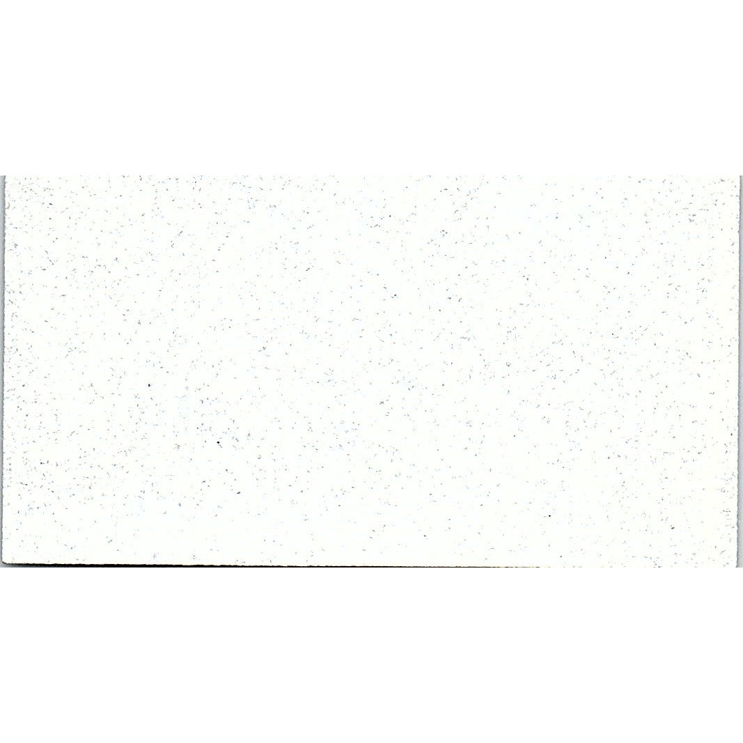 Scrapbookers Dream Nicole Roughton Waterford MI Vintage Business Card SC9-B9