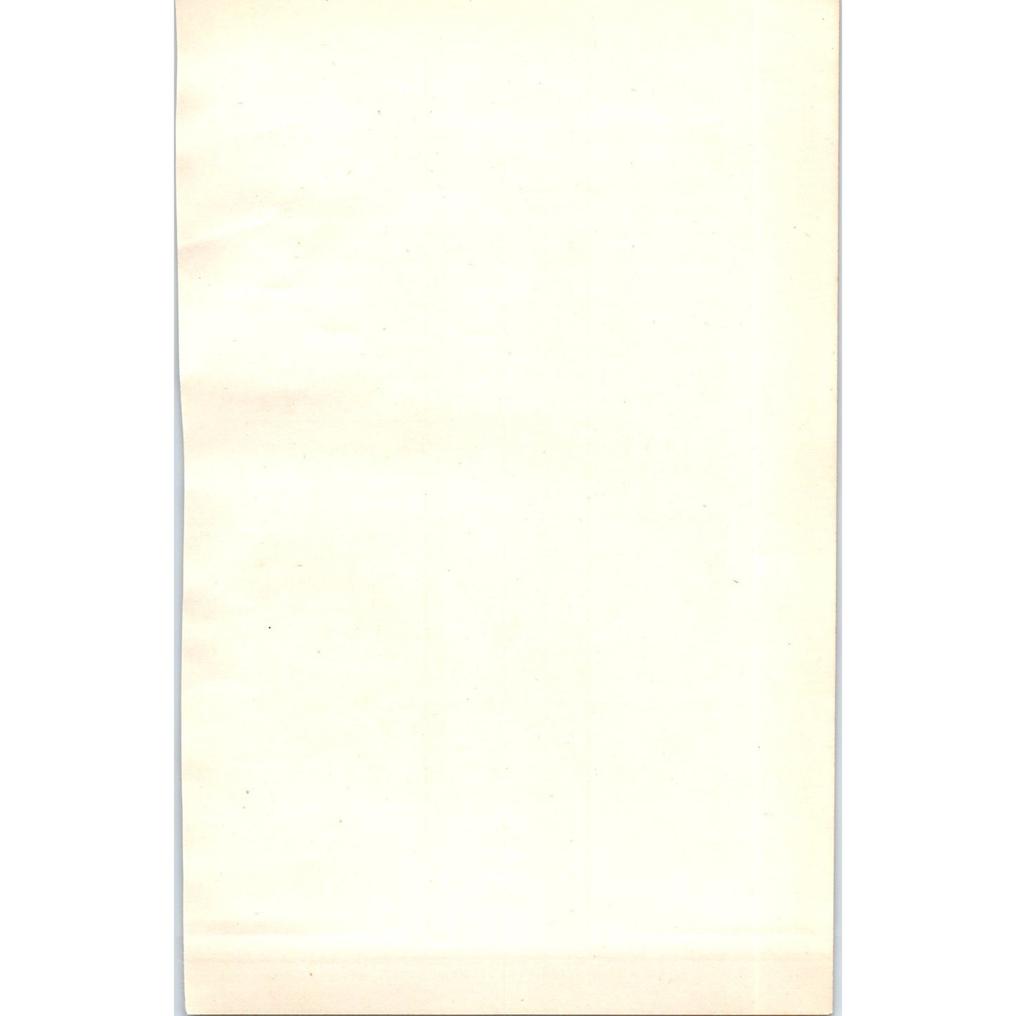 Common Snipe Bird 1903 Original Color Engraving Plate Print AD8-B4