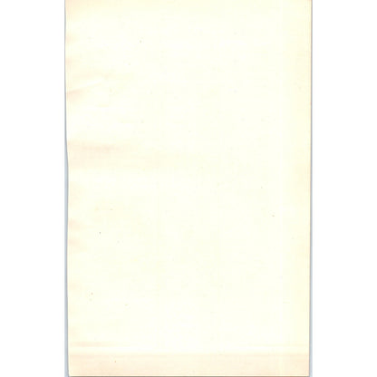 Common Snipe Bird 1903 Original Color Engraving Plate Print AD8-B4