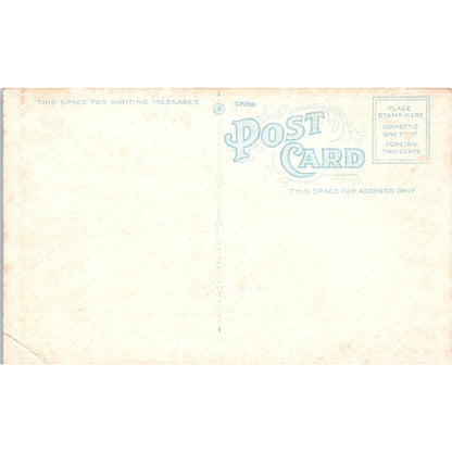 Morris Memorial & Immanuel Lutheran Church Chatham NY Vintage Postcard PD3