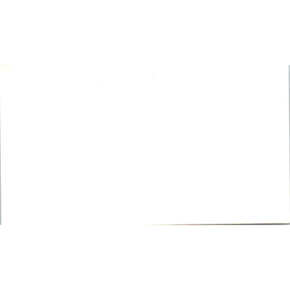 Budgetel Inn Tom & Lora Brown Brunswick GA Vintage Business Card SD8-B22