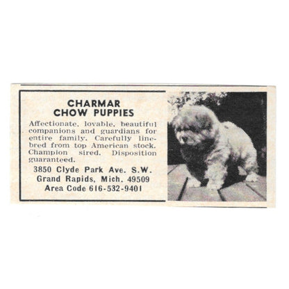 Charmar Chow Puppies Grand Rapids MI 1977 Ad AF6-S2