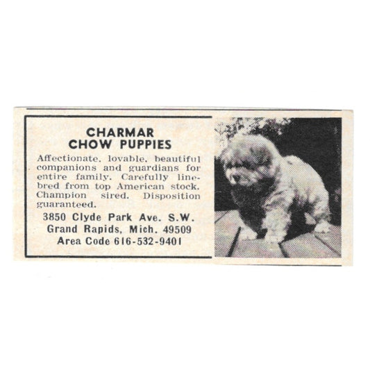 Charmar Chow Puppies Grand Rapids MI 1977 Ad AF6-S2