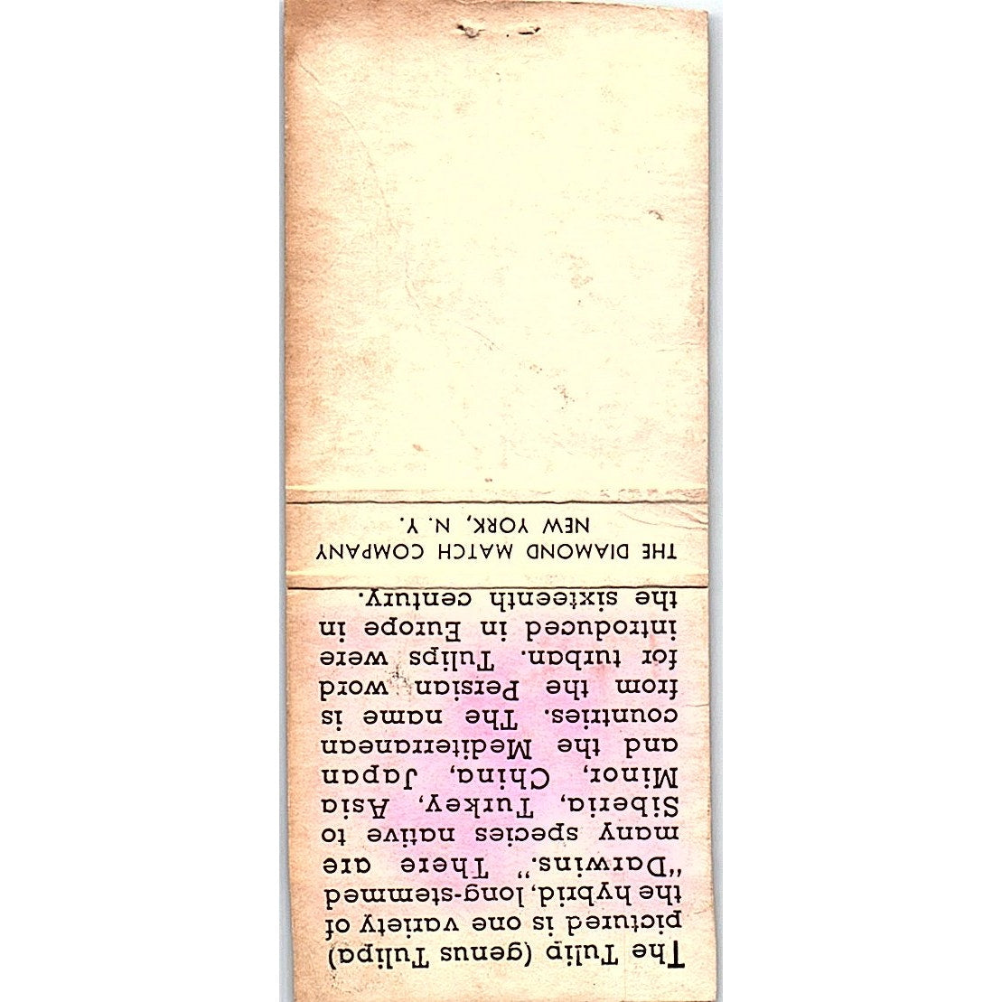 Darwin Tulip Louis IV Collectible Vintage Matchbook Cover SC7-Y7