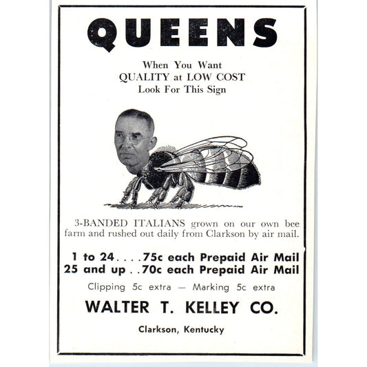 Walter T. Kelley Italian Queen Bees Clarkson KY 1964 Magazine Ad AB6-LB