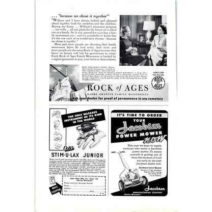 Zenith Twin Cobra Tone Arm Cabinet Television TV Teleset Vintage Magazine Ad D20