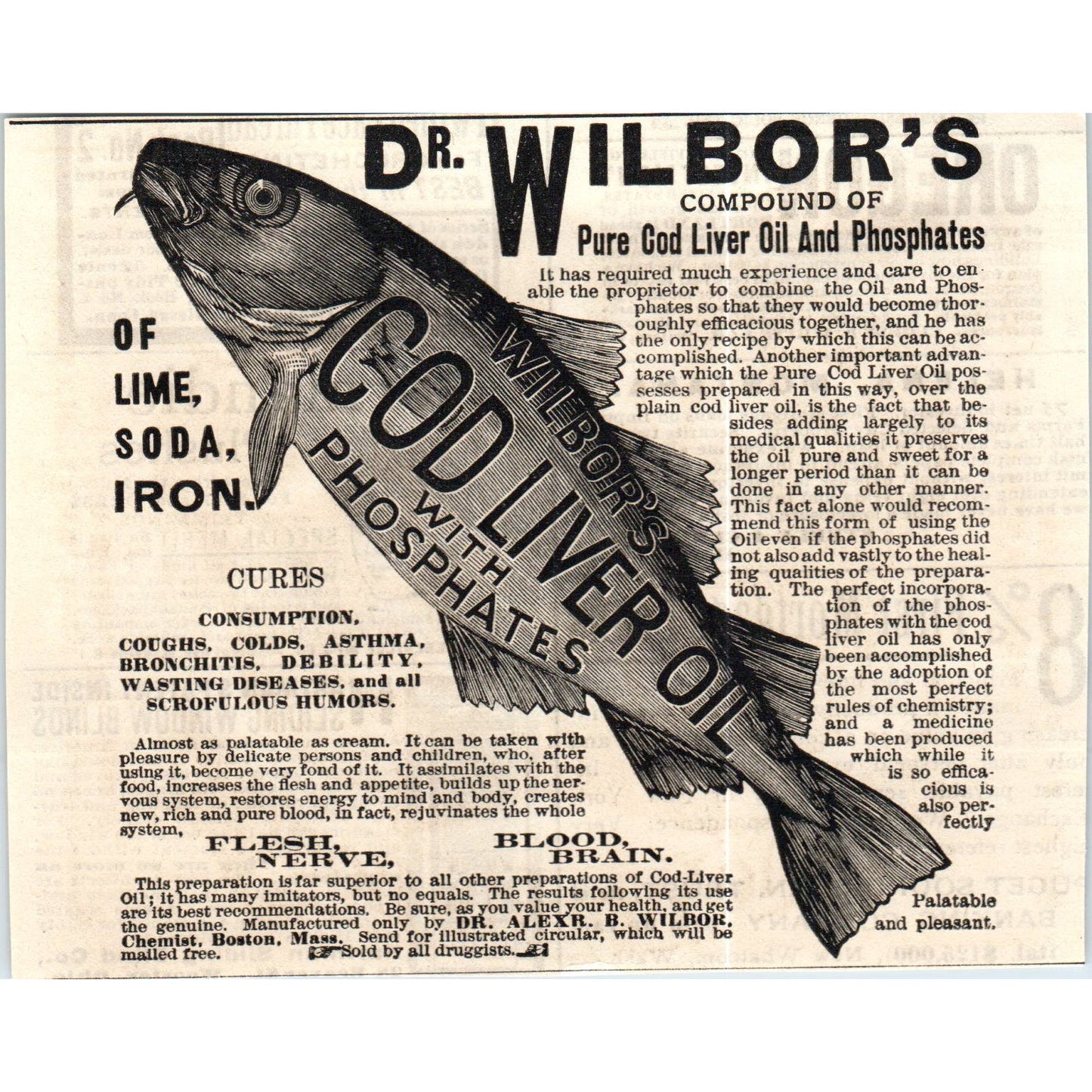 Dr. Wilbors Compound of Cod Liver Oil & Phosphates c1890 Victorian Ad AE8-CH1