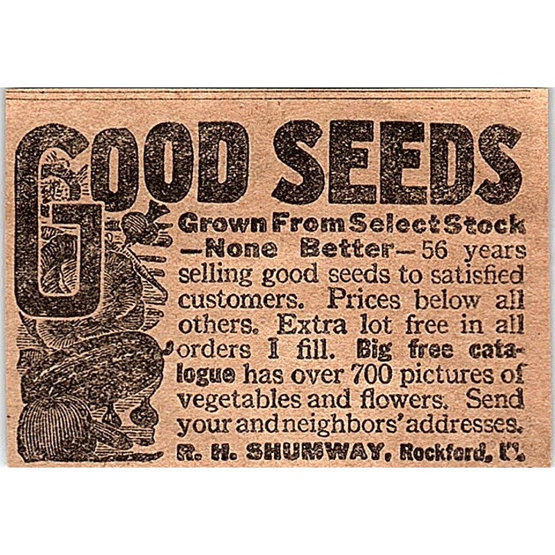 R.H. Shumway Good Seeds Flowers and Vegetables Rockford IL 1926 Ad AG3-M2