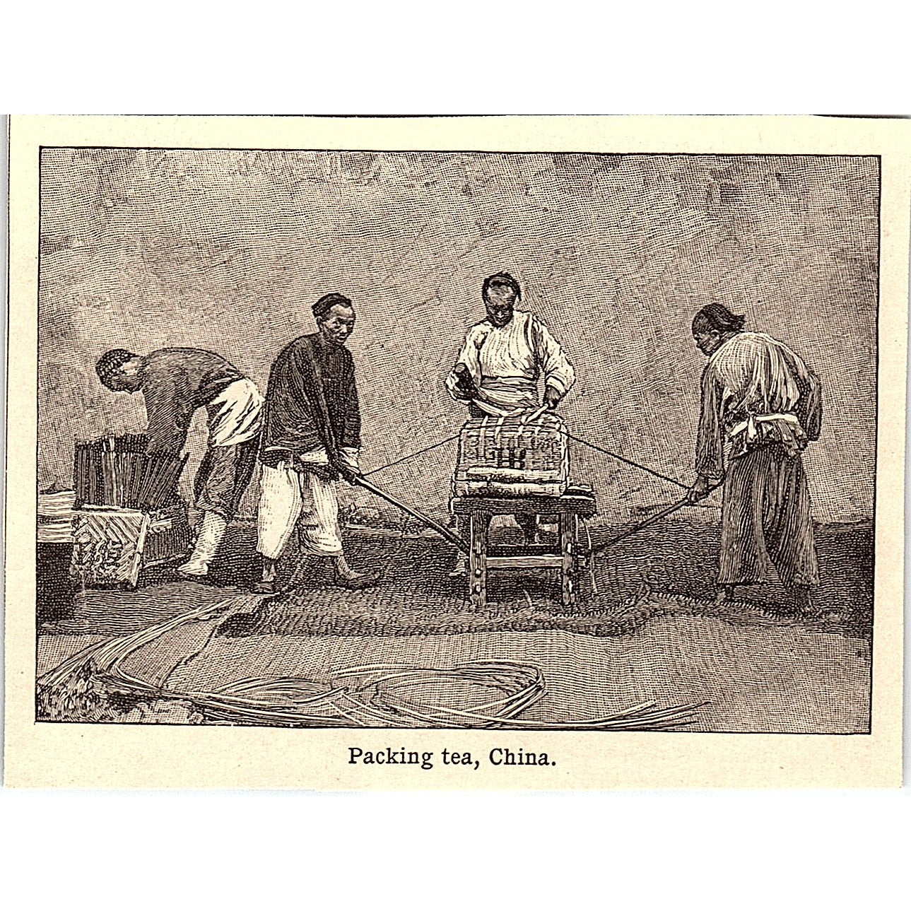 Packing Tea in China 3x4" 1901 Engraving AF6-M14