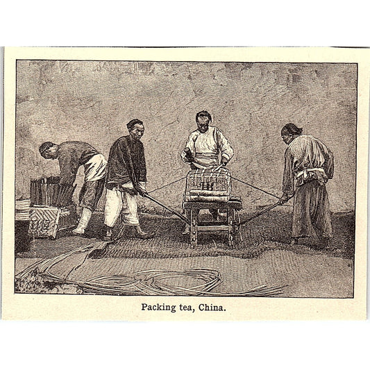 Packing Tea in China 3x4" 1901 Engraving AF6-M14