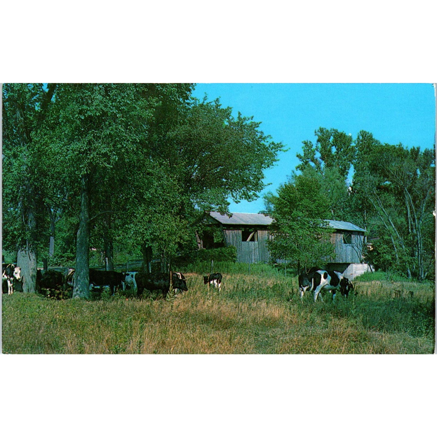 Old Covered Bridge in North Ferrisburg Addison County VT Vintage Postcard PD2