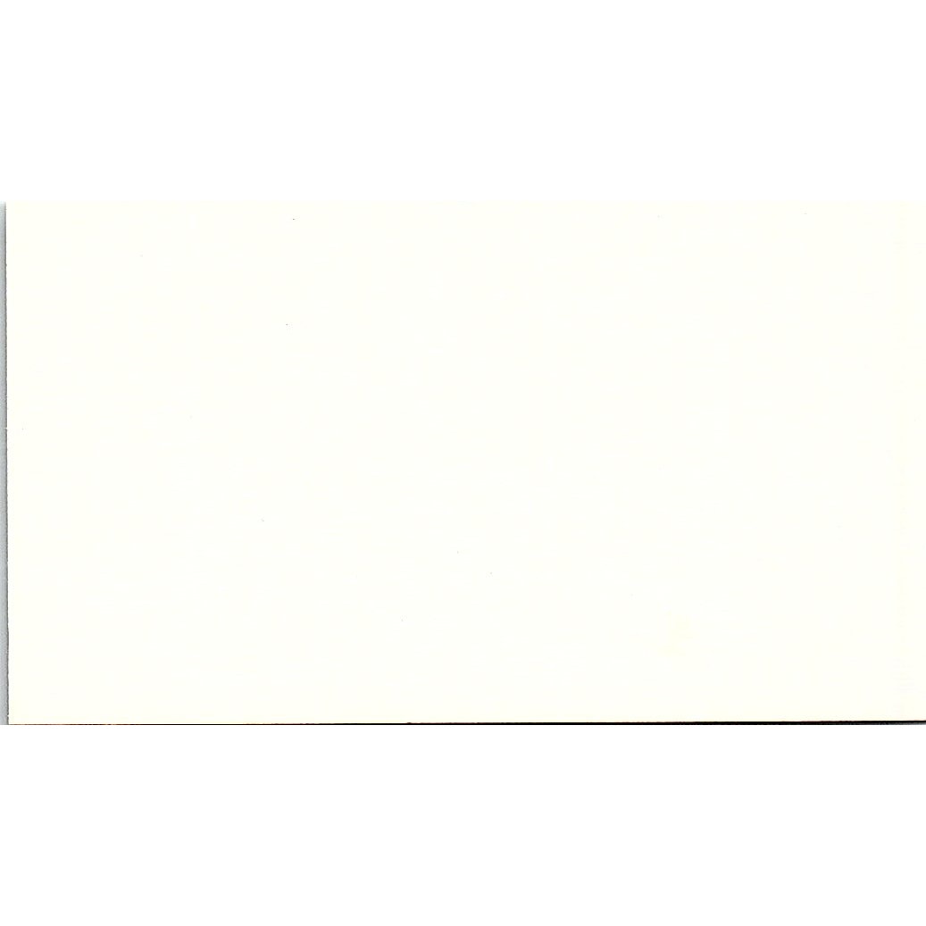 Ann Larson Georgia International Inc Atlanta GA Vintage Business Card SC9-B1