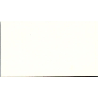 Ann Larson Georgia International Inc Atlanta GA Vintage Business Card SC9-B1