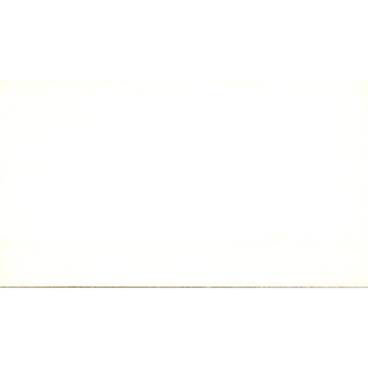 Thomas G. Stecik Safeguard Business Systems Houston Vintage Business Card SE3-B4