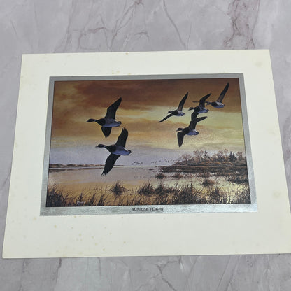Sunrise Flight Canada Geese by David A. Maass Vtg Chromatic Foil Etch 8x10" V18