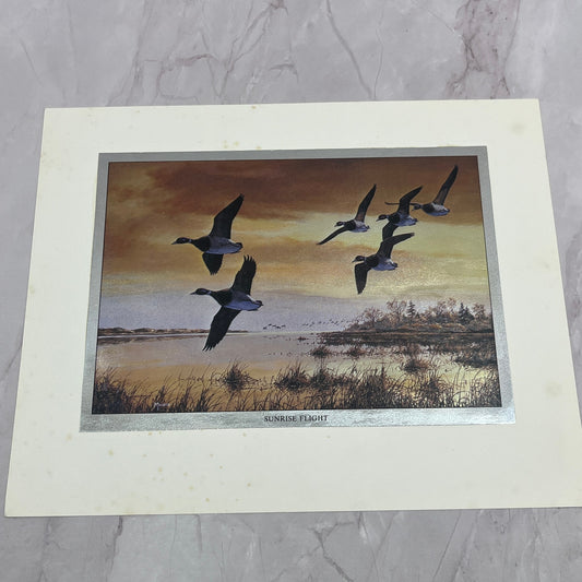 Sunrise Flight Canada Geese by David A. Maass Vtg Chromatic Foil Etch 8x10" V18