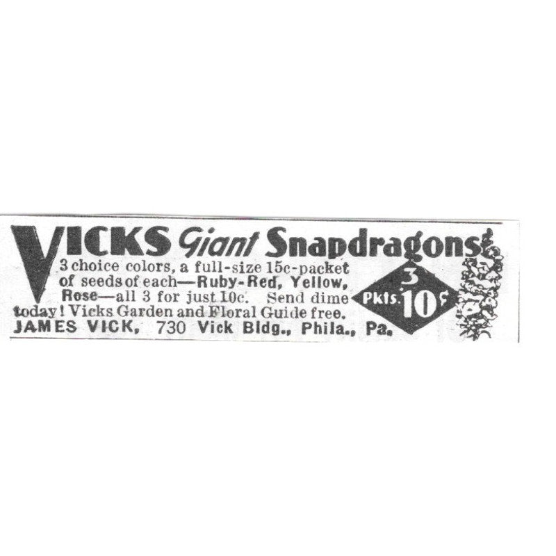 Vicks Giant Snapdragons James Vick Philadelphia PA 1936 Ad SAG4-S12