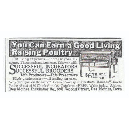 Des Moines Incubator Co Iowa Money Raising Poultry 1913 Magazine Advert AE7-N8