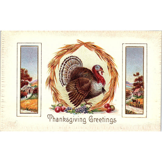 Antique Thanksgiving Turkey Embossed c1910 Postcard AG5-M1