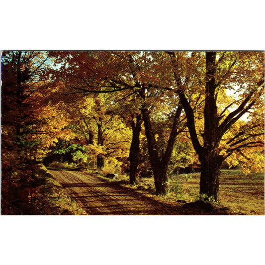 Pocono Mountains Foliage Pennsylvania Dutch Country Postcard PD7
