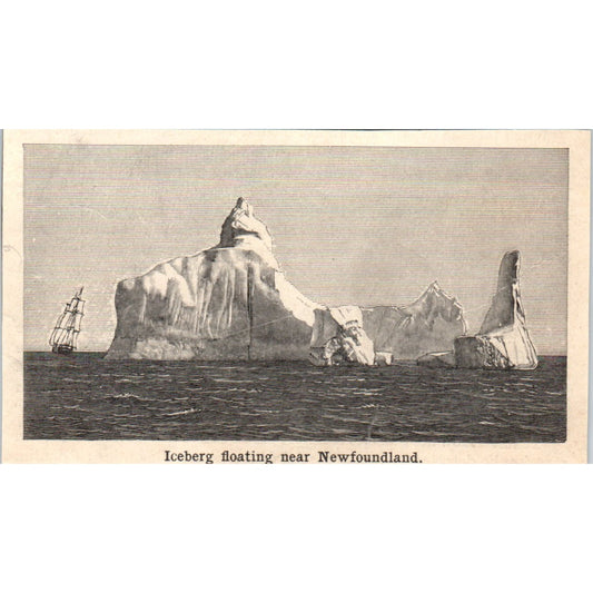 Iceberg Boating Near Newfoundland 1901 Engraving AF2-O2