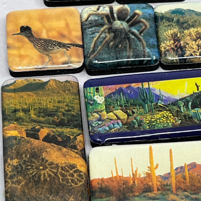 Vintage Lot of 8 Southwestern Refrigerator Magnets Tarantula Coyote SB7