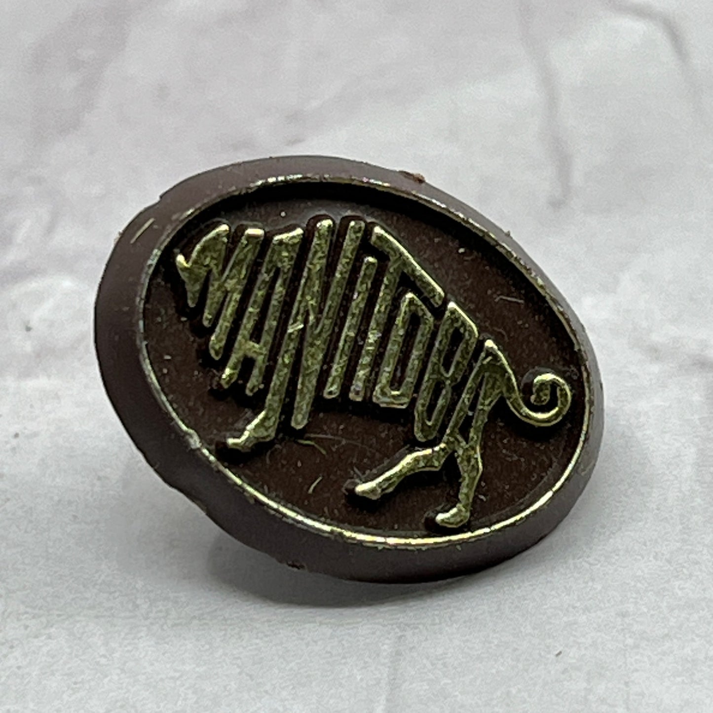 Vintage Brown Plastic With Gold Trim Manitoba Buffalo Pinback Button SB7