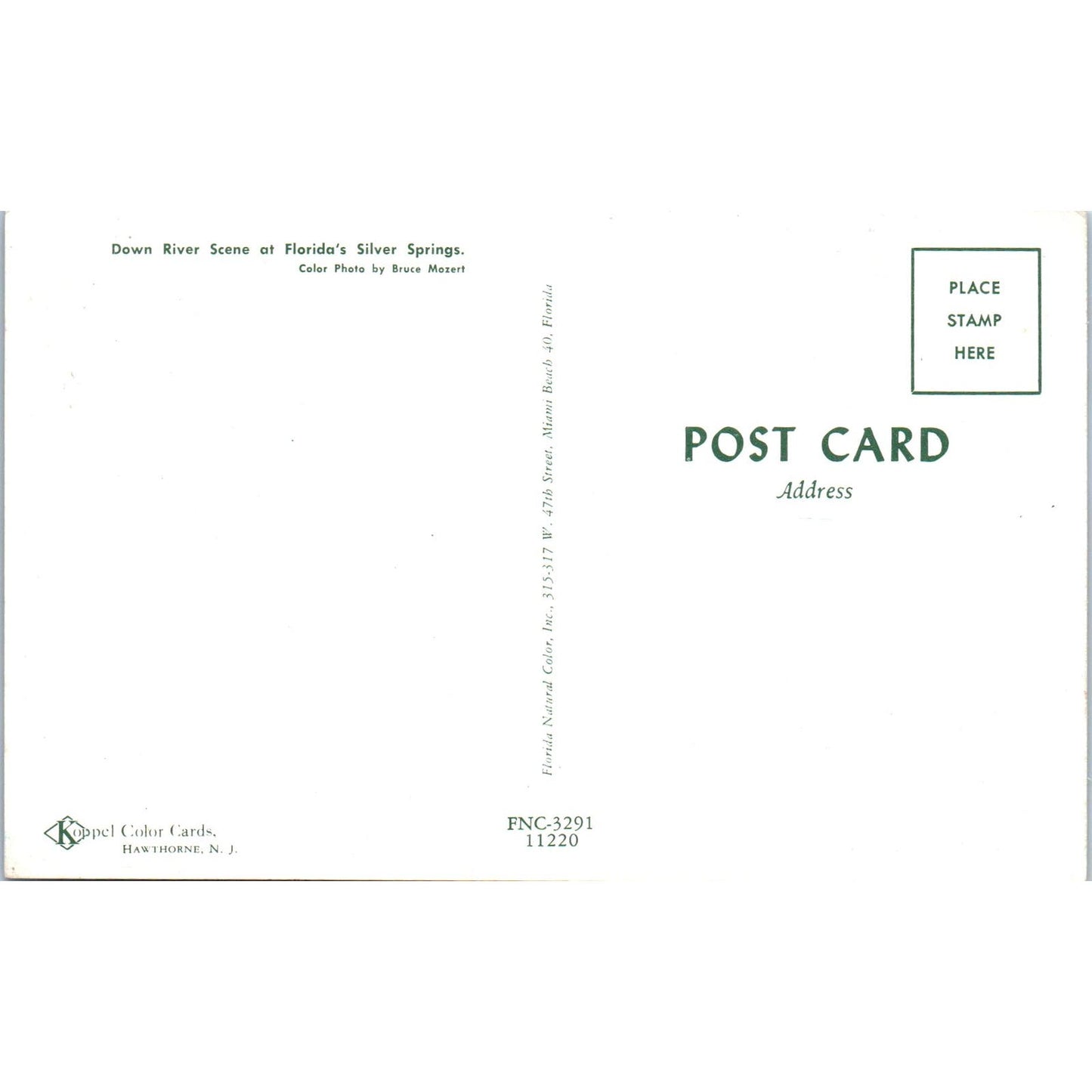 Down River Scene at Florida's Silver Springs Vintage Postcard AB9