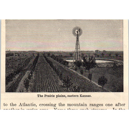 Crater of Castle Geyser Wyoming 1901 Engraving AF2-P4