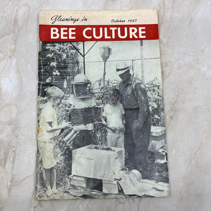 1967 Oct Gleanings in Bee Culture Magazine Bees Beekeeping Honey TD7