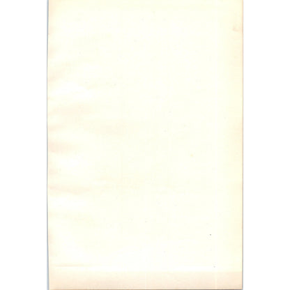 Whinchat Bird 1903 Original Color Engraving Plate Print AD8-B8