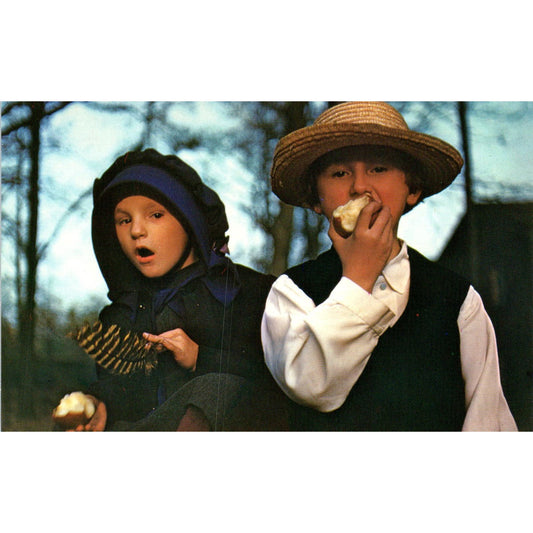 Two Amish Children Pennsylvania Dutch Country Postcard PD8