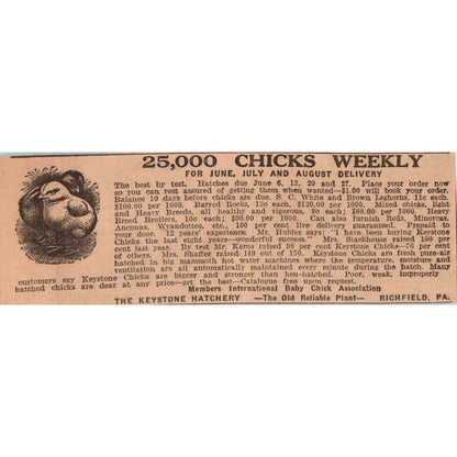 The Keystone Hatchery Chicks Richfield PA 1922 Magazine Ad AF2-A5