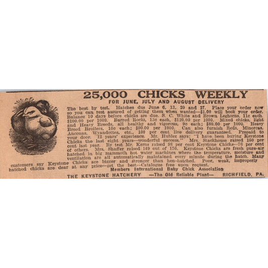 The Keystone Hatchery Chicks Richfield PA 1922 Magazine Ad AF2-A5