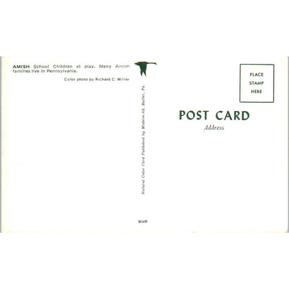 Amish School Children at Play Pennsylvania Dutch Country Postcard PD8