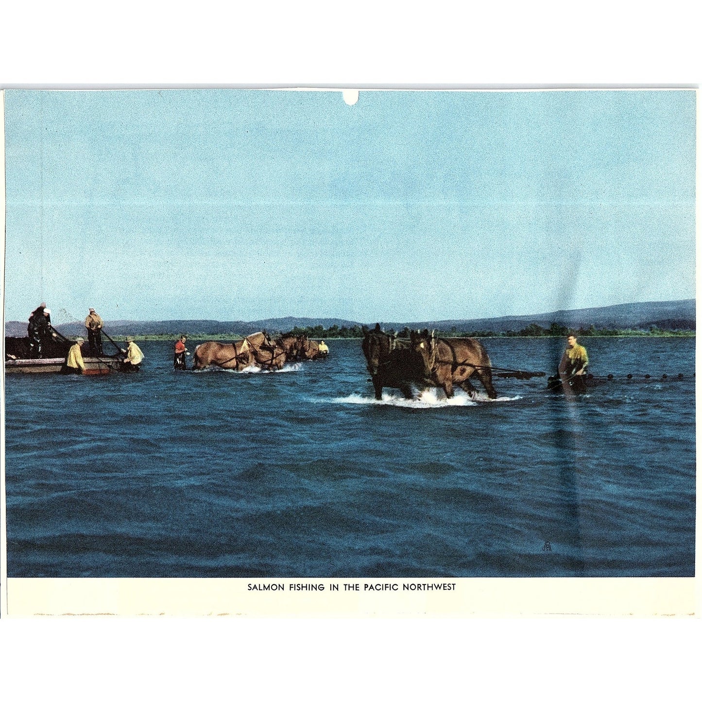 Salmon Fishing in the Pacific Northwest Vintage Art Print 6x8 V12