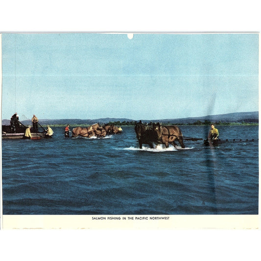 Salmon Fishing in the Pacific Northwest Vintage Art Print 6x8 V12