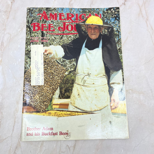 1993 June - American Bee Journal Magazine - Bees Beekeeping Honey M9