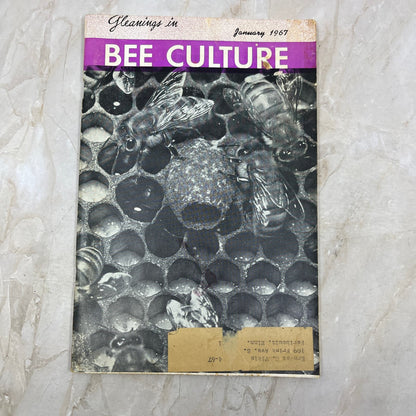 1967 Jan Gleanings in Bee Culture Magazine Bees Beekeeping Honey TD7