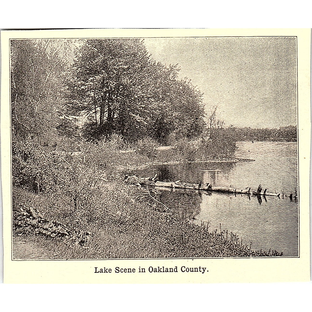 Lake Scene in Oakland County MI 3x4" 1901 Engraving AF6-M16