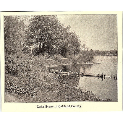 Lake Scene in Oakland County MI 3x4" 1901 Engraving AF6-M16