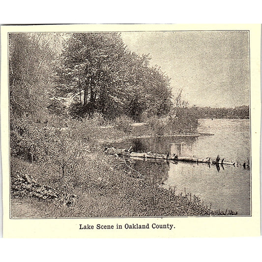 Lake Scene in Oakland County MI 3x4" 1901 Engraving AF6-M16