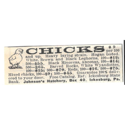 Johnson's Hatchery Chicks Ickesburg PA 1924 Ad AG3-S7