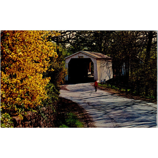 Green Sergeant's Covered Bridge Hunterdon County NJ Vintage Postcard PD1