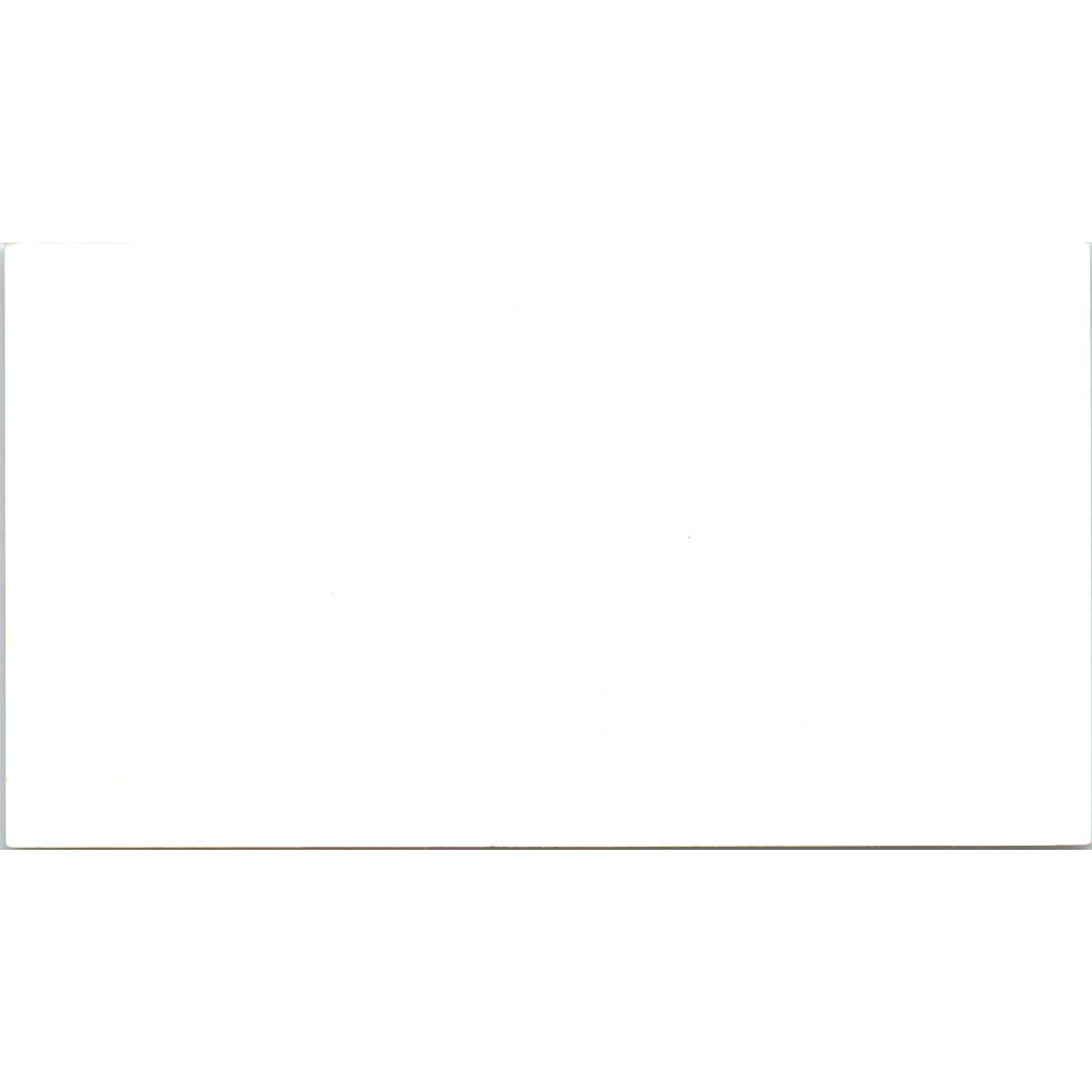 Johnie E. Ashton Dicalite Arlington TX Vintage Business Card SE3-B3