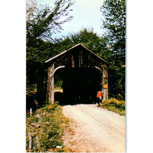 Gunn Bridge Guernsey County 10 North Salem OH Covered Bridge Postcard PC11