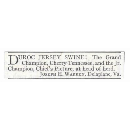 Duroc Jersey Swine Joseph H. Warren Delplane VA 1913 Magazine Advert AE7-N8